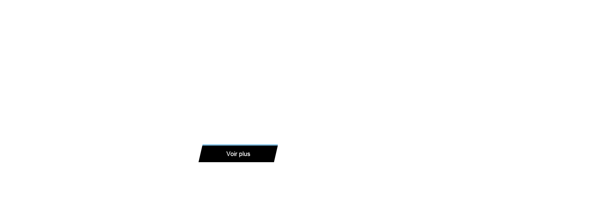 banner 法语按钮2